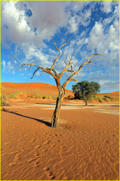 Namibia-031