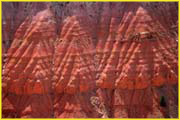 Bryce-029