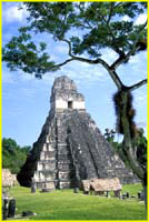 33 Tikal - Temple I