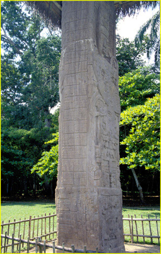 46 Quirigua - Stela D