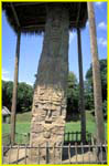 43 Quirigua - Stela F