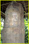 44 Quirigua - Stela
