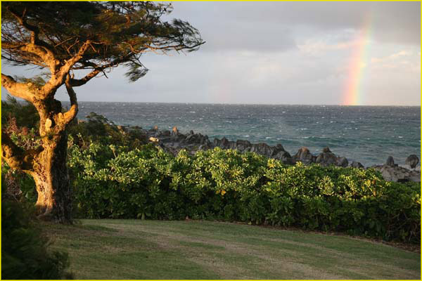 Hawaii select-27