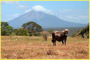 Nicaragua Additional-047
