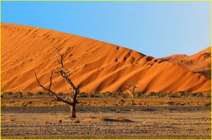 Dunes of Soussusvlei Valley in Namib-Naukluft Park