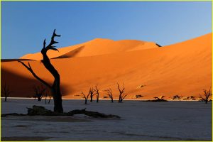 Dead Vlei in Namib-Naukluft Park