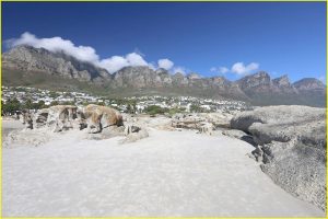 Twelve Apostles at Camps Bay near Cape Town
