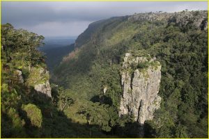 Pinnacle in Blyde River Canyon