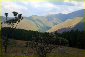 Landscape in Swaziland near Bulembu at RSA border