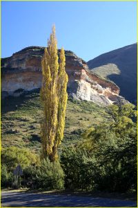 In Golden Gate Highlands National Park