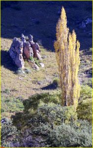 In Golden Gate Highlands National Park