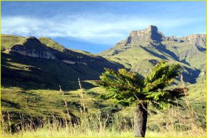 Eastern Buttress of "Amphitheatre" in Royal Natal NP - Drakensberg Mountain Range