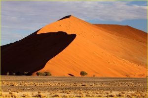 Dune 45, Sossusvlei area of Namib-Naukluft Park, Namibia