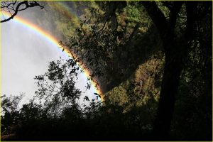 At Victoria Falls, Zimbabwe