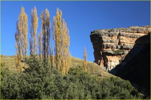 In Golden Gate Highlands National Park, RSA