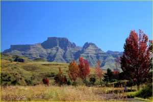 Drakensberg Mountains seen from Paradise Valley, RSA