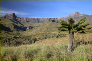 Amphitheatre, Royal Natal National Park, Drakensberg Mountains range, RSA