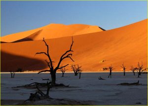 In Dead Vlei, Sossusvlei area of Namib-Naukluft Park, Namibia