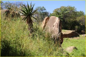 Landscape in Matobo NP, Zimbabwe