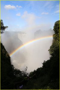 At Victoria Falls, Zimbabwe and Zambia (opposite bank on the left)