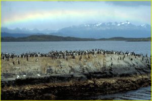 On Biegle Channel, Terra del Fuego, Argentina. Navarina Island (Chile) in the background