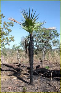 In Kakadu National Park