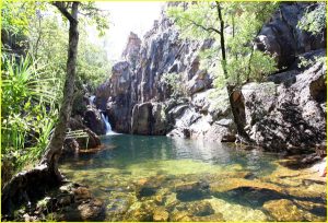 Water hole in Kakadu National Park