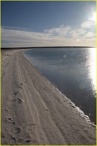 Shell Beach in Shark Bay World Heritage and Marine Park