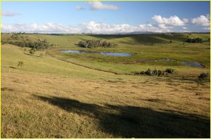 Landscape of Atherton Tablelands