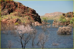 Lake Argyle