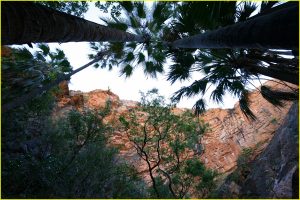 At Zebedee Springs in El Questro