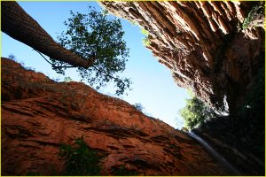 Emma Gorge in El Questro