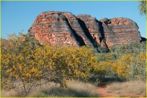 Beehive-shaped domes in Purnululu National Park (Bungle Bungle Range)