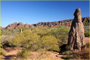 Landscape in Purnululu National Park (Bungle Bungle Range)