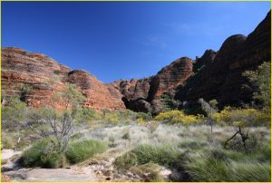 Landscape in Purnululu National Park (Bungle Bungle Range)