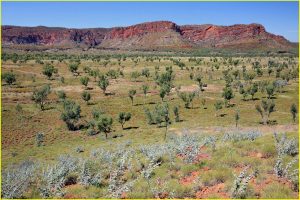 Bungle Bungle Range in Purnululu National Park seen from Kungkalahayi lookout