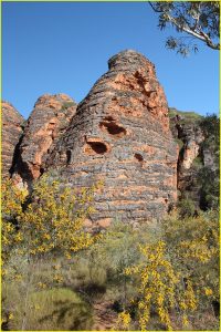 In Purnululu National Park (Bungle Bungle Range)