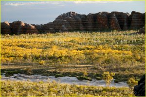 View from Piccaninny Lookout, National Park (Bungle Bungle Range)