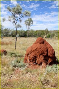 Landscape near Geike Gorge