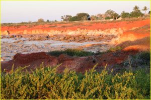 Coast near Broome