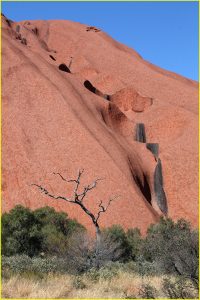 At the base of Uluru (Ayers Rock), Uluru-Kata Tjuta National Park