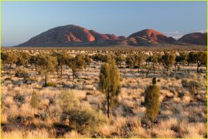 Kata Tjuta (Olgas) at sunrise, Uluru-Kata Tjuta National Park