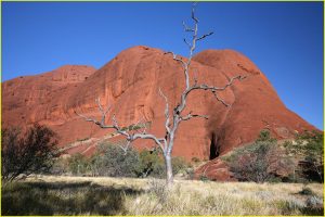 On the Valley of the Winds trail in Olgas, Uluru-Kata Tjuta National Park