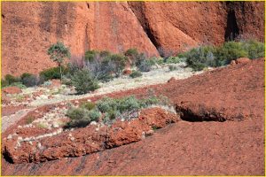 On the Valley of the Winds trail in Olgas, Uluru-Kata Tjuta National Park