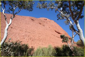 On the Valley of the Winds trail in Olgas, Uluru-Kata Tjuta National Park
