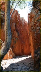 Standley Chasm, West MacDonnell Ranges National Park
