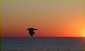 Sunset at Cable beach near Broome