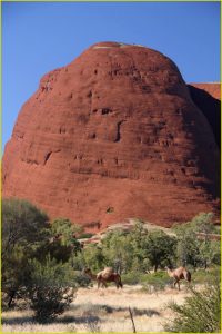 On the Valley of the Winds trail in Olgas, Uluru-Kata Tjuta National Park