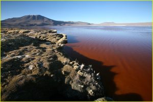 Laguna Colorada (Red Lagoon)