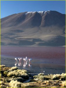 Laguna Colorada (Red Lagoon)